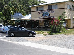 CairnsTC359 Daintree